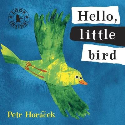 Book cover for Hello, Little Bird