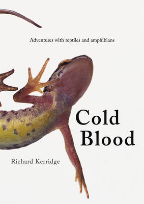 Book cover for Cold Blood