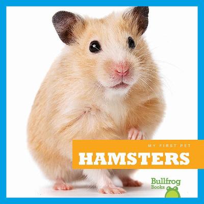 Book cover for Hamsters