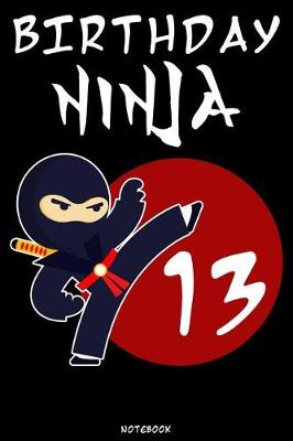 Book cover for Birthday Ninja 13