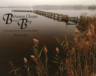 Book cover for Between Ocean and Bay