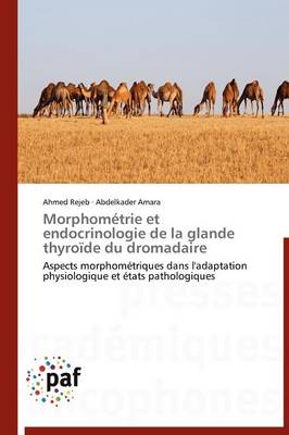 Book cover for Morphometrie Et Endocrinologie de la Glande Thyroide Du Dromadaire