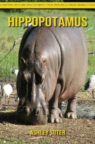 Cover of Hippopotamus