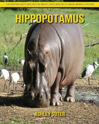 Cover of Hippopotamus