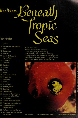 Cover of Beneath Tropic Seas Fishe