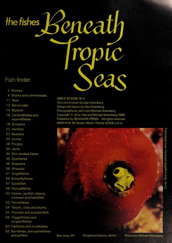 Book cover for Beneath Tropic Seas Fishe
