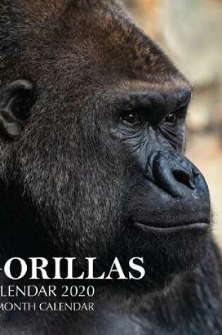 Cover of Gorillas Calendar 2020