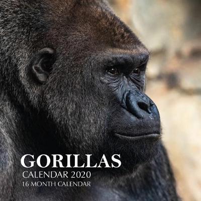 Book cover for Gorillas Calendar 2020