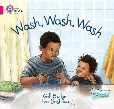 Book cover for Wash, Wash, Wash