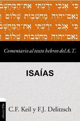 Book cover for Comentario Al Texto Hebreo del Antiguo Testamento - Isaias