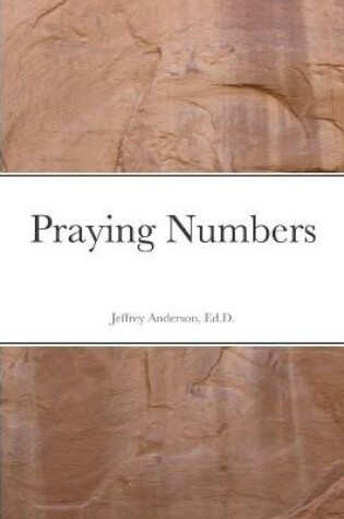 Cover of Praying Numbers