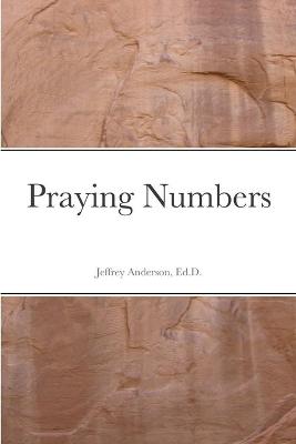 Book cover for Praying Numbers