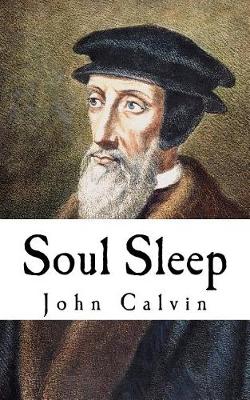 Book cover for Soul Sleep