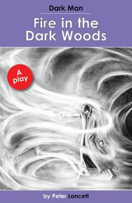 Book cover for Fire in the Dark Woods