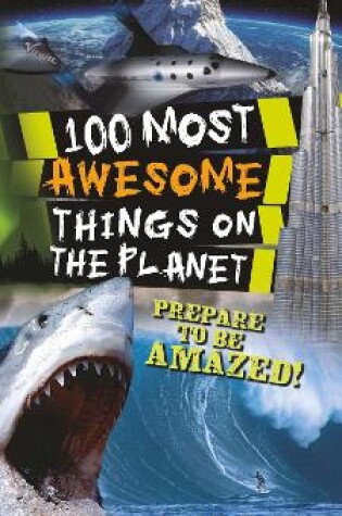 Cover of 100 Most Awesome Things On The Planet