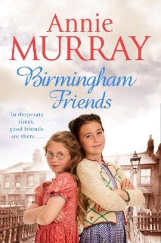 Cover of Birmingham Friends