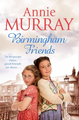 Book cover for Birmingham Friends