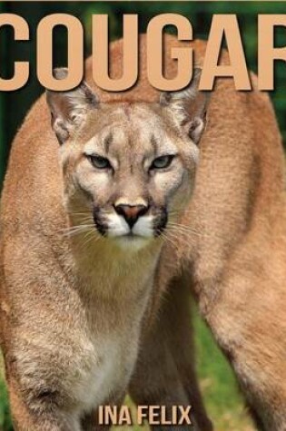 Cover of Cougar