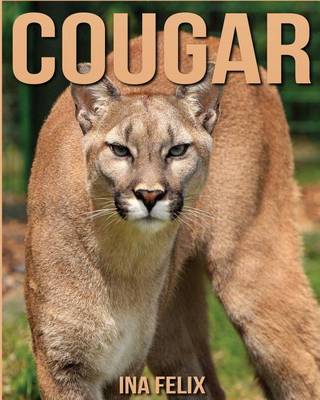 Book cover for Cougar