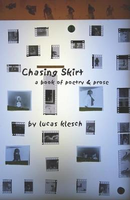 Book cover for Chasing Skirt