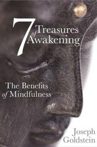 Cover of 7 Treasures of Awakening