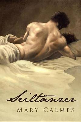 Book cover for Seiltanzer