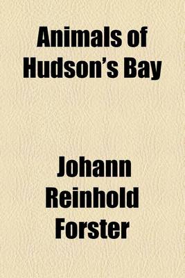 Book cover for Animals of Hudson's Bay