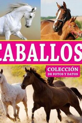 Cover of Caballos