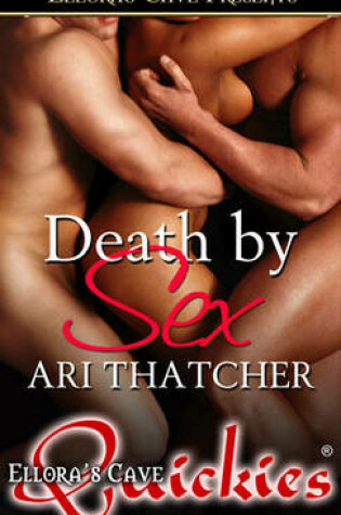 Cover of Death by Sex