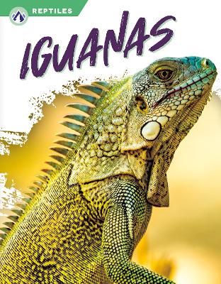 Book cover for Iguanas