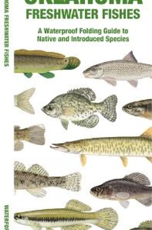 Cover of Oklahoma Freshwater Fishes