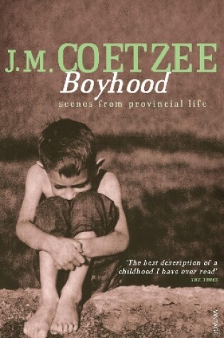 Cover of Boyhood
