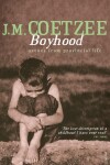 Book cover for Boyhood