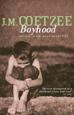 Book cover for Boyhood