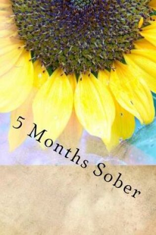 Cover of 5 Months Sober
