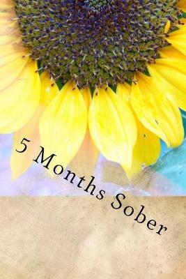 Book cover for 5 Months Sober