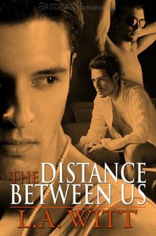 Cover of The Distance Between Us