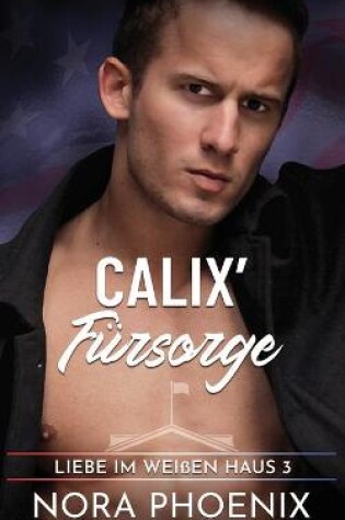 Cover of Calix' Fürsorge