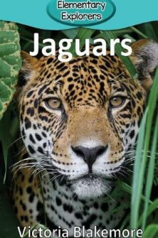 Cover of Jaguars