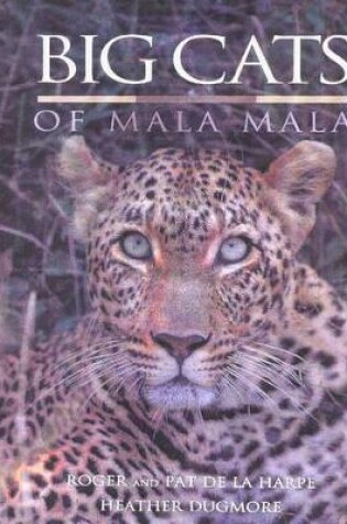 Cover of Big Cats of Mala Mala