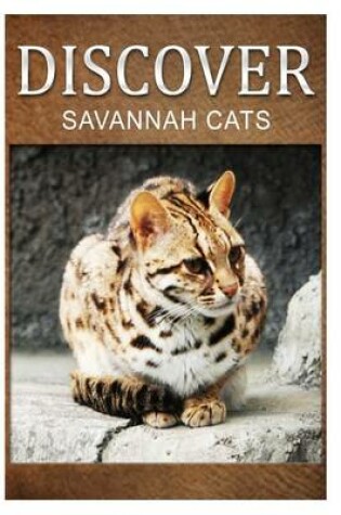 Cover of Savannah Cats - Discover