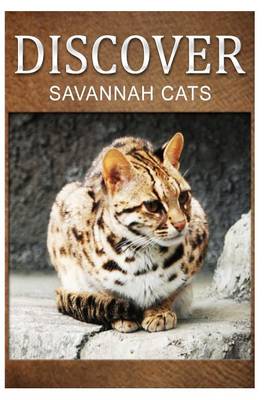 Book cover for Savannah Cats - Discover