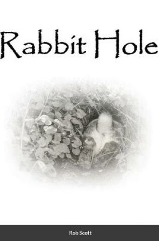 Cover of Rabbit Hole