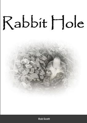 Book cover for Rabbit Hole