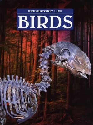 Book cover for Birds