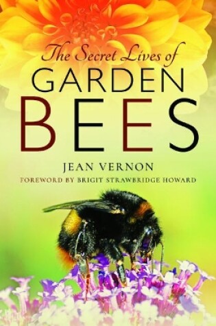 Cover of The Secret Lives of Garden Bees