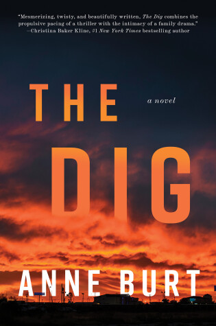 Cover of The Dig