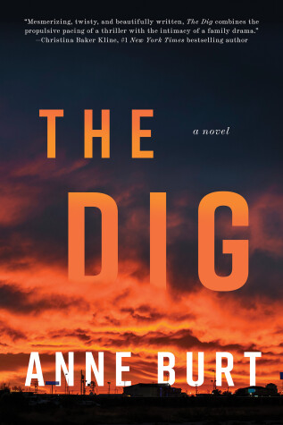 Book cover for The Dig