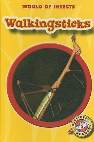 Cover of Walkingsticks