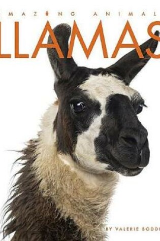 Cover of Llamas